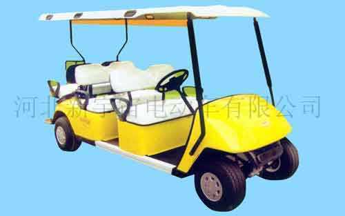 国内电动轿车首领牌照