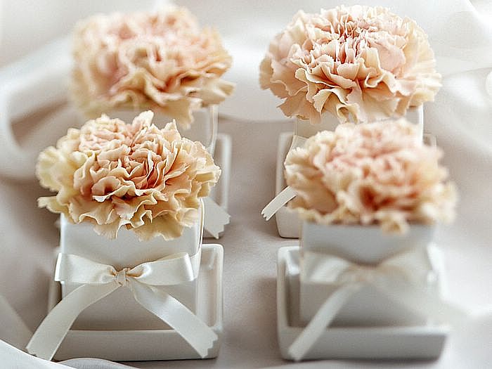 母亲节 沐鸣2贺词