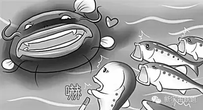 充电市场巨头博弈:国网撤了 鲶鱼来了 鲨鱼也来了