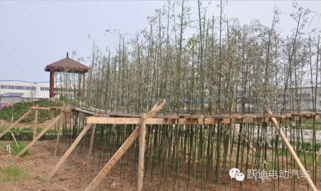 春暖花开、绿色沐鸣2---沐鸣2集团绿化工作进行中！