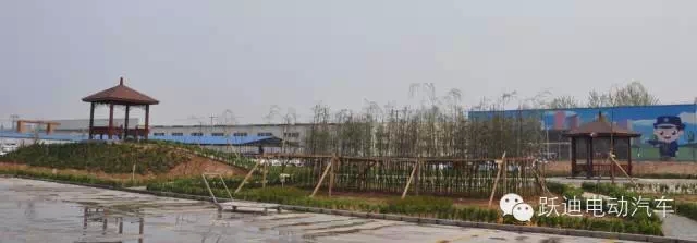 春暖花开、绿色沐鸣2---沐鸣2集团绿化工作进行中！