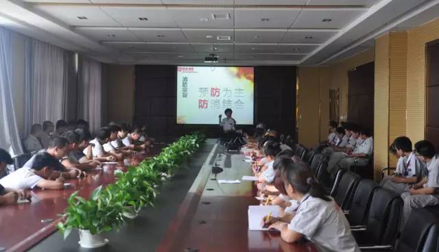 电动汽车,电动轿车,电动汽车价格,纯电动汽车