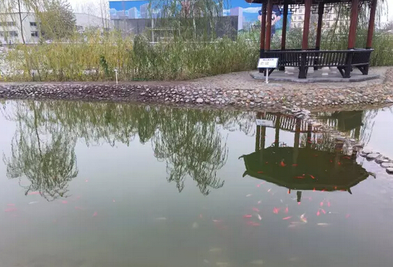 下雪天的沐鸣2集团，咱也跟跟风。。。