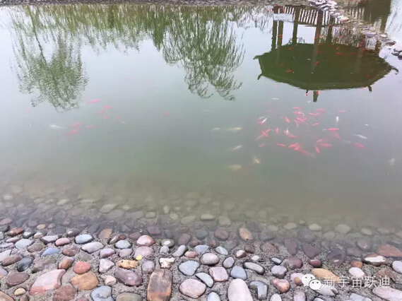 下雪天的沐鸣2集团，咱也跟跟风。。。