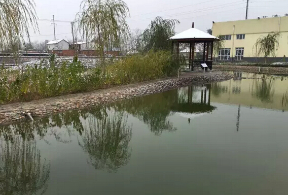 下雪天的沐鸣2集团，咱也跟跟风。。。