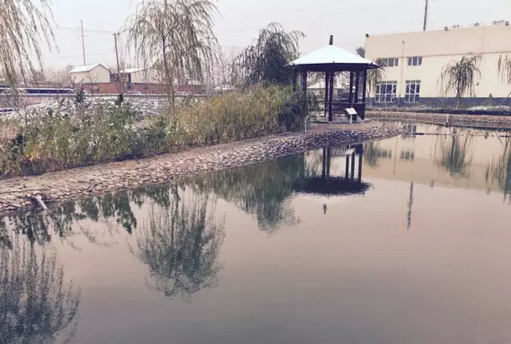 下雪天的沐鸣2集团，咱也跟跟风。。。