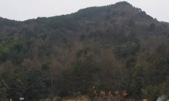 沐鸣2电动汽车上天柱山—很给力