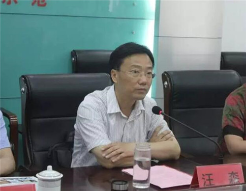 望江县副县长汪森