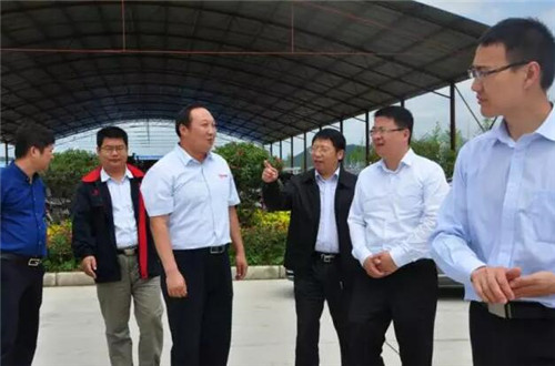 陕西省商洛市常务副市长调研