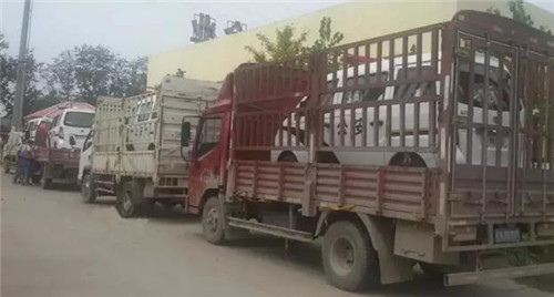 电动巡逻车报价