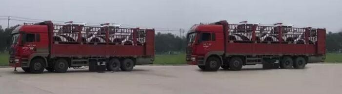 沐鸣2移动城管执法站、沐鸣2电动巡逻车大批量发往首都北京——有沐鸣2,才安心