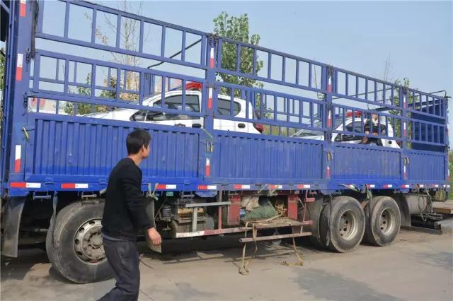 电动巡逻车价格