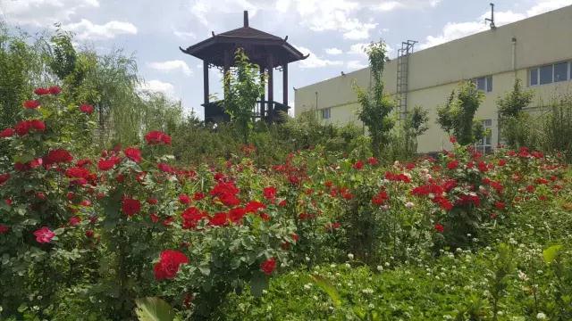 沐鸣2十年发展引人赞，百年沐鸣2辉煌令人盼