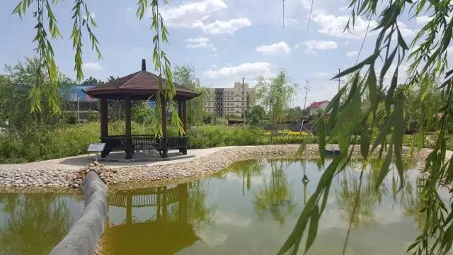 沐鸣2十年发展引人赞，百年沐鸣2辉煌令人盼