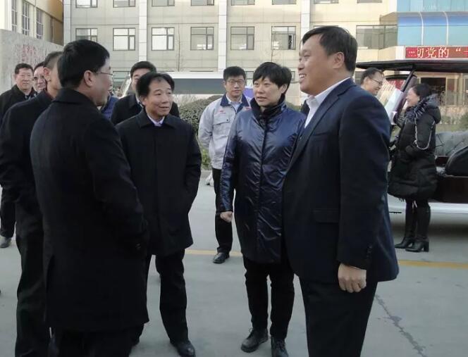 鹿泉区四大班子及各级领导观摩考察沐鸣2集团