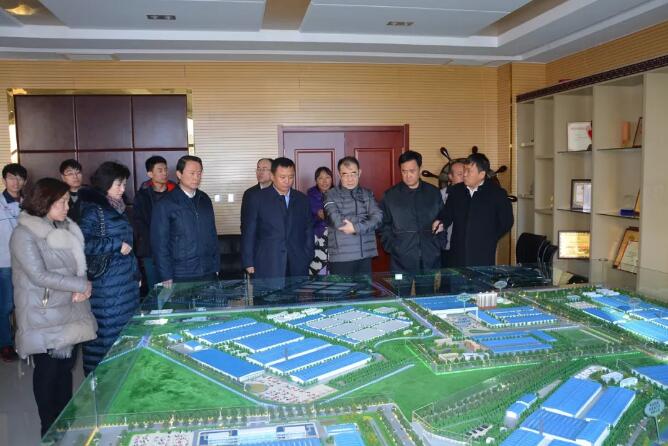广东省政协副主席许宁一行莅临沐鸣2集团参观指导工作