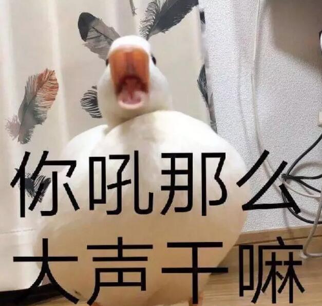 What!!油价又双叒叕涨了|幸好 我有沐鸣2