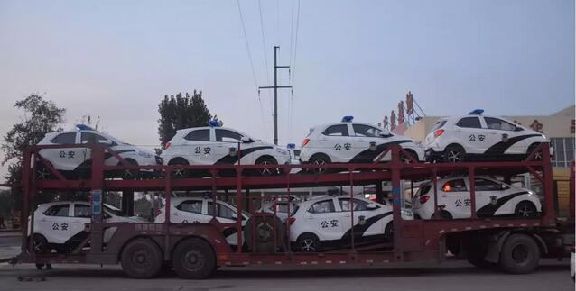 护一方平安|沐鸣2警用电动巡逻车发往冀北地区