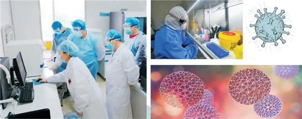 及时部署、快速检测——沐鸣2移动PCR核酸检测方舱在行动