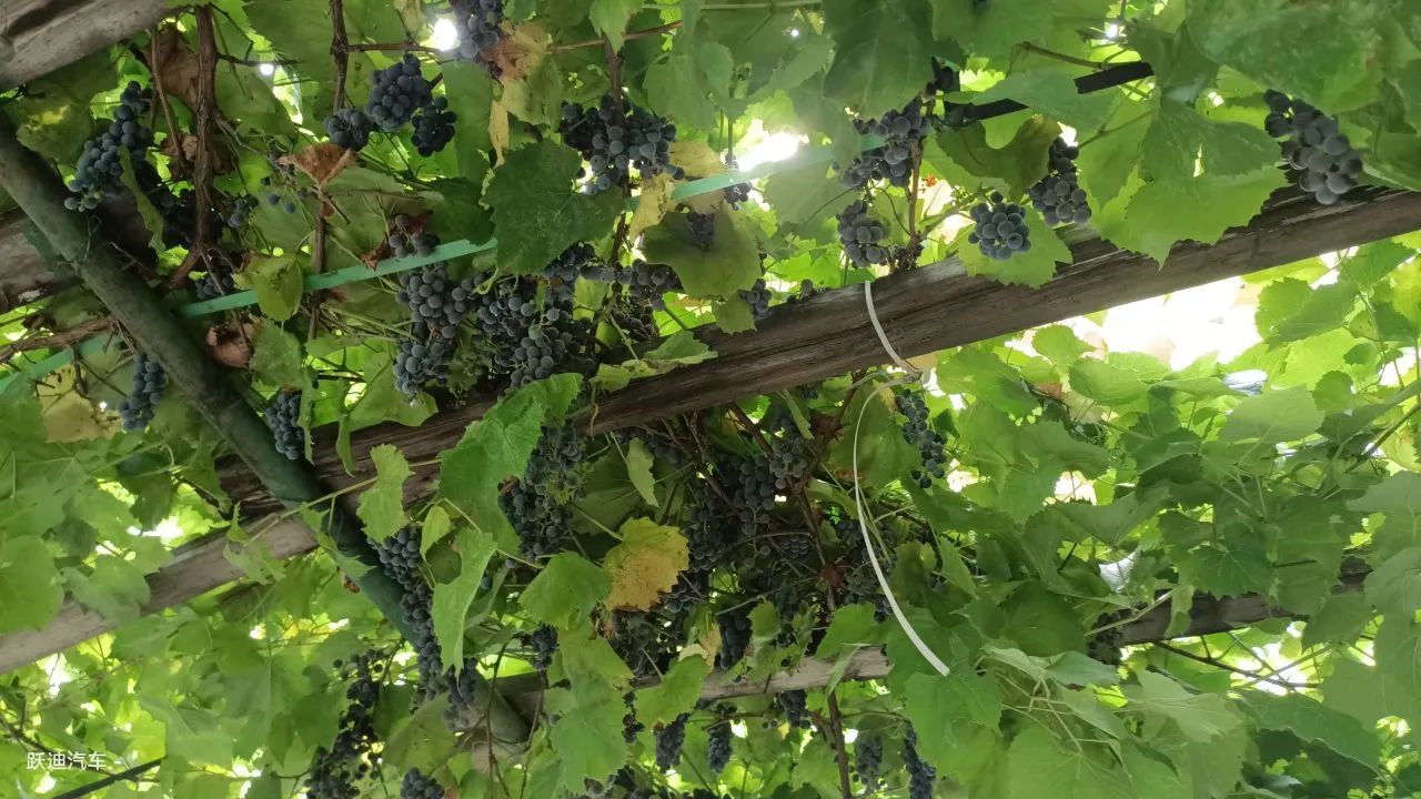 企业风采丨带您领略沐鸣2美景