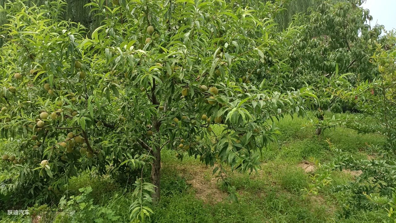 企业风采丨带您领略沐鸣2美景