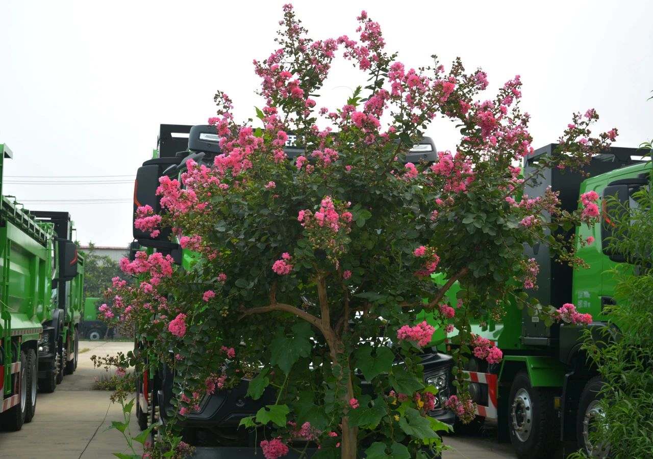 企业风采丨带您领略沐鸣2美景