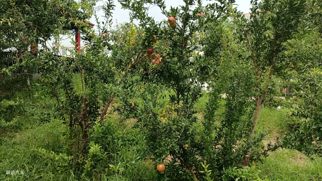 企业风采丨带您领略沐鸣2美景