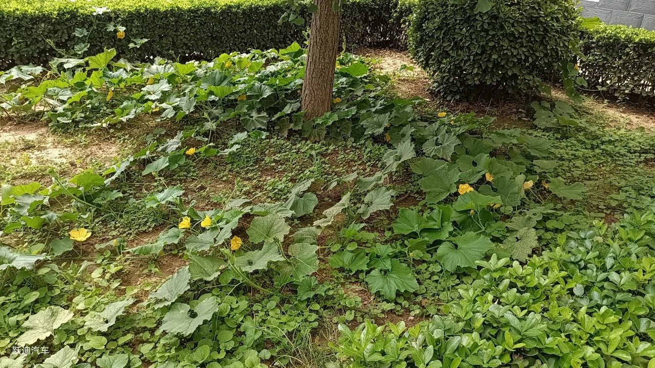 企业风采丨带您领略沐鸣2美景